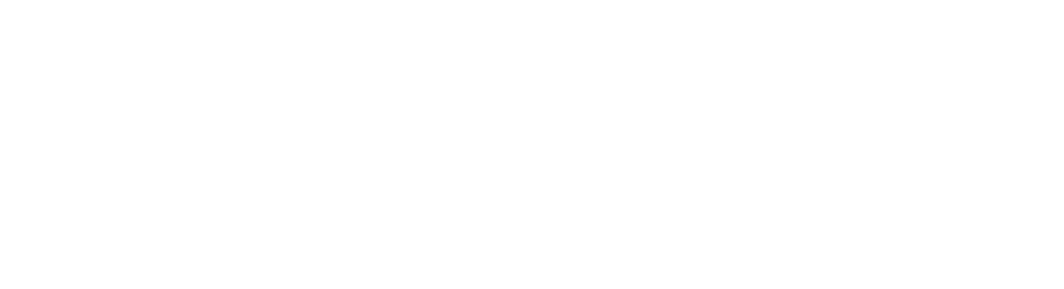 Neural System